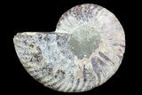 Agatized Ammonite Fossil (Half) - Madagascar #83801-1